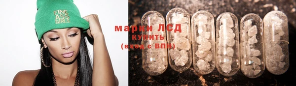 ПСИЛОЦИБИНОВЫЕ ГРИБЫ Алексеевка