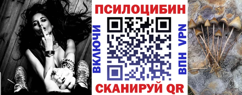 купить наркотики сайты  Усмань  MEGA онион  Псилоцибиновые грибы Psilocybine cubensis 